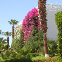 фото из отзыва ID 2734716