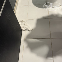 фото из отзыва ID 2734720