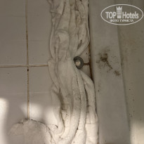 фото из отзыва ID 2734720