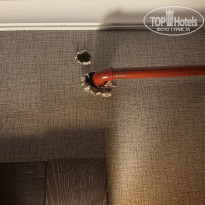 фото из отзыва ID 2734720