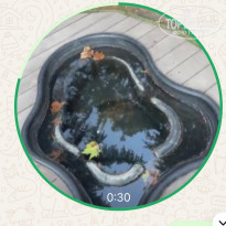 фото из отзыва ID 2734735