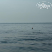 фото из отзыва ID 2734735