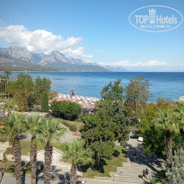 фото из отзыва ID 2734758