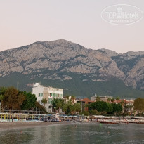 фото из отзыва ID 2734758