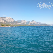 фото из отзыва ID 2734758