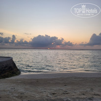 фото из отзыва ID 2734759