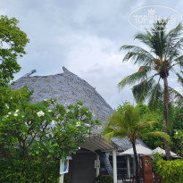 фото из отзыва ID 2734759