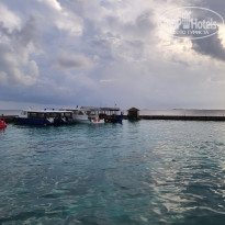 фото из отзыва ID 2734759