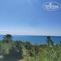 фото из отзыва ID 2734762