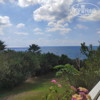 фото из отзыва ID 2734762