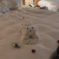 фото из отзыва ID 2734771