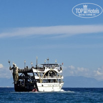 фото из отзыва ID 2734780