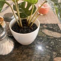 фото из отзыва ID 2734806