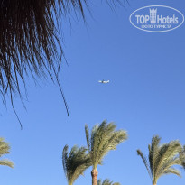 фото из отзыва ID 2734818