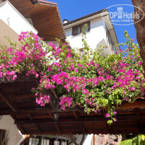 фото из отзыва ID 2734817