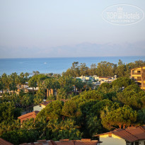 фото из отзыва ID 2734819