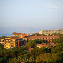 фото из отзыва ID 2734819