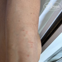 фото из отзыва ID 2734844