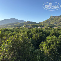 фото из отзыва ID 2734844