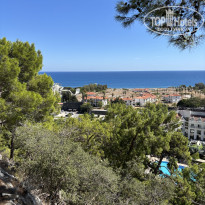 фото из отзыва ID 2734844