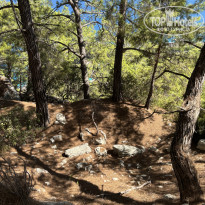 фото из отзыва ID 2734844