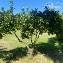 фото из отзыва ID 2734846