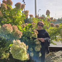 фото из отзыва ID 2734290