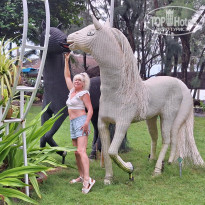 фото из отзыва ID 2734862