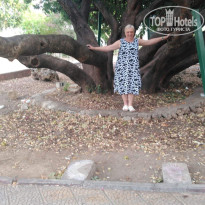 фото из отзыва ID 2734562