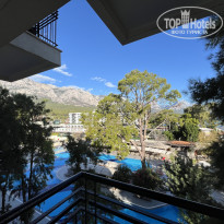 фото из отзыва ID 2734878