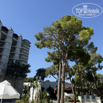 фото из отзыва ID 2734884