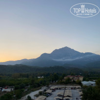 фото из отзыва ID 2734888