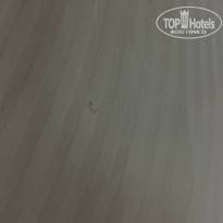 фото из отзыва ID 2734929