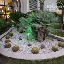 фото из отзыва ID 2734942