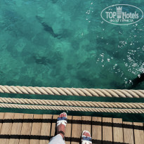 фото из отзыва ID 2734950