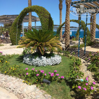 фото из отзыва ID 2734964