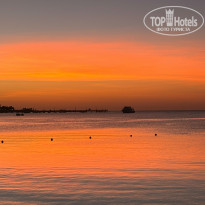 фото из отзыва ID 2734954