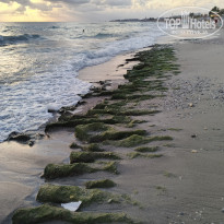 фото из отзыва ID 2734787