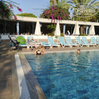 фото из отзыва ID 2734787