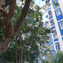 фото из отзыва ID 2734787