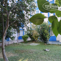 фото из отзыва ID 2734787