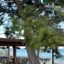 фото из отзыва ID 2734999