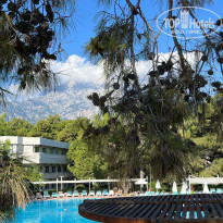 фото из отзыва ID 2734999