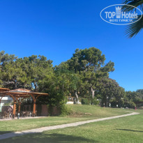 фото из отзыва ID 2734999