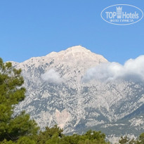 фото из отзыва ID 2734999