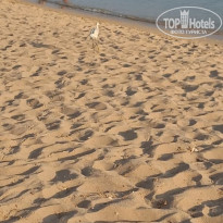 фото из отзыва ID 2731032