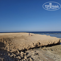 фото из отзыва ID 2731032