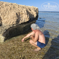 фото из отзыва ID 2731032