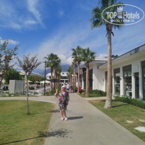 фото из отзыва ID 2735014