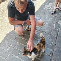 фото из отзыва ID 2735014